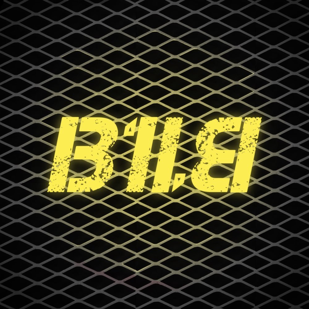 B1